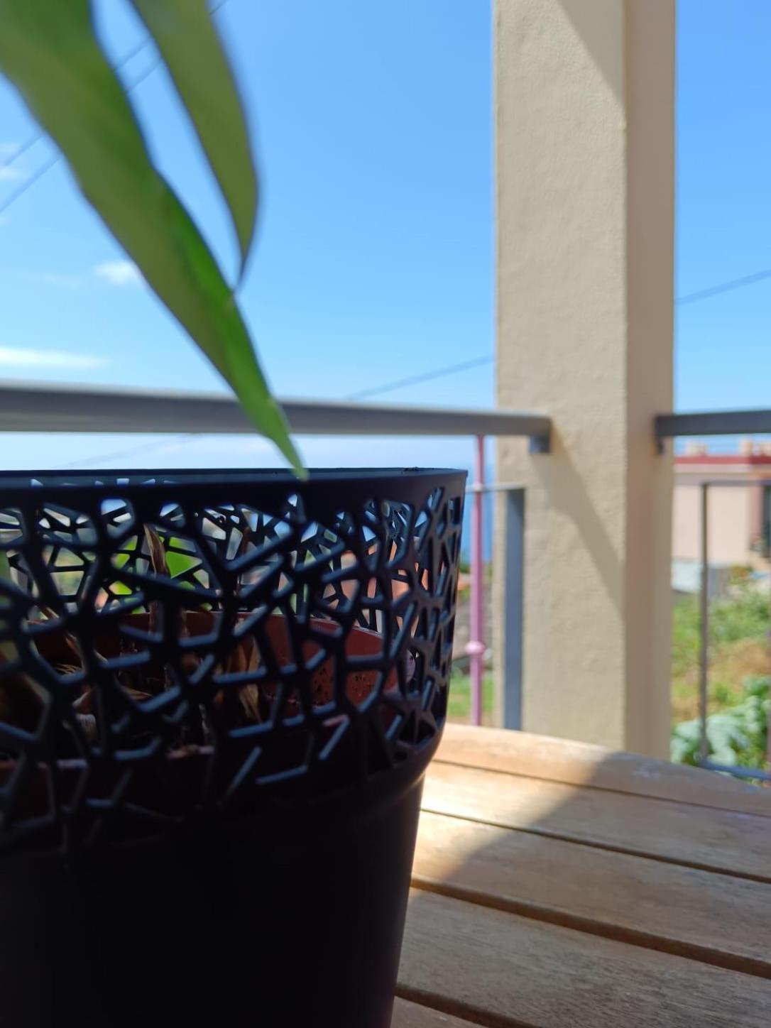 Casa Central - Peceful Mountain Retreat In Calheta Ribeira do Raposo Luaran gambar